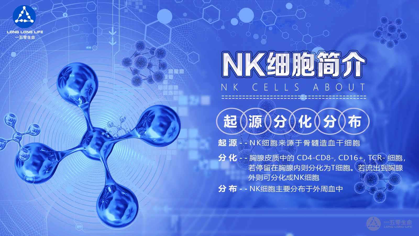 NK细胞治疗