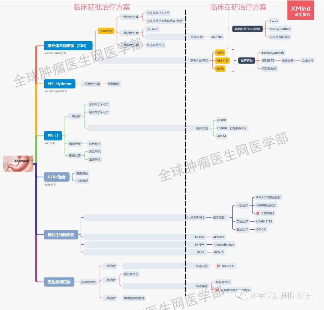 2021胃癌靶向、免疫治疗最新研究进展一览