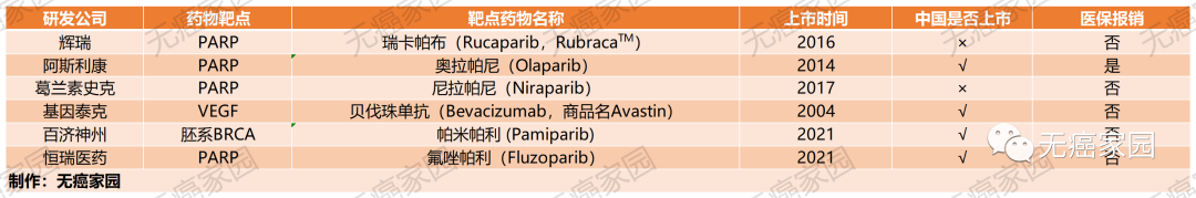 国内外获批上市的卵巢癌靶向药