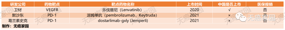 国内外获批上市的子宫内膜癌靶向药