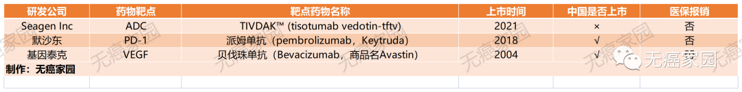 国内外获批上市的宫颈癌靶向药