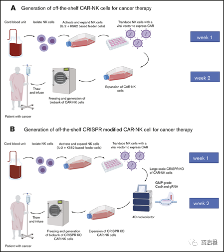 从CAR-NK细胞疗法的案例中看细胞免疫疗法的走向