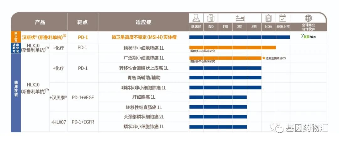 斯鲁利单抗适应症