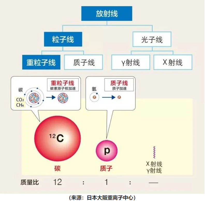 不同放射线的区别