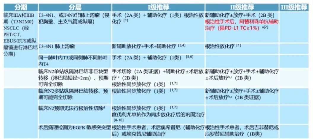 可手术ⅢA 或ⅢB(T3N2M0)期非小细胞肺癌的治疗