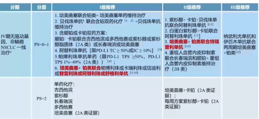 Ⅳ期无驱动基因、非鳞癌非小细胞肺癌一线治疗