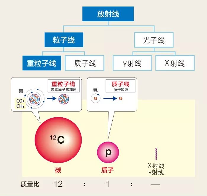 质子疗法是什么意思