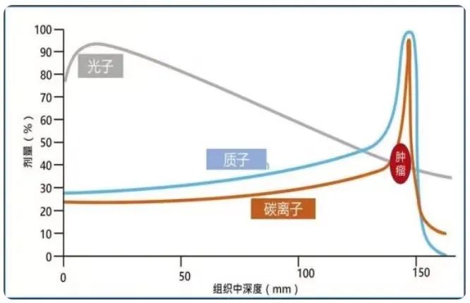 质子重离子的优势是什么