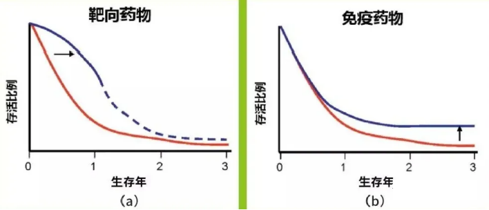 靶向治疗和免疫治疗对比