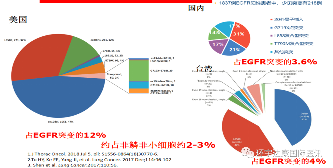 EGFR突变的概率