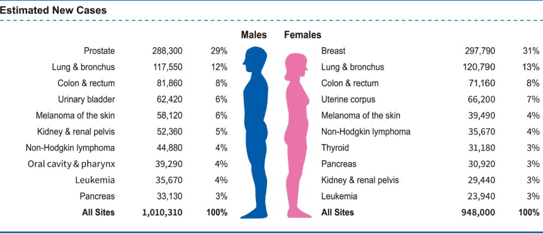 男女患癌比例