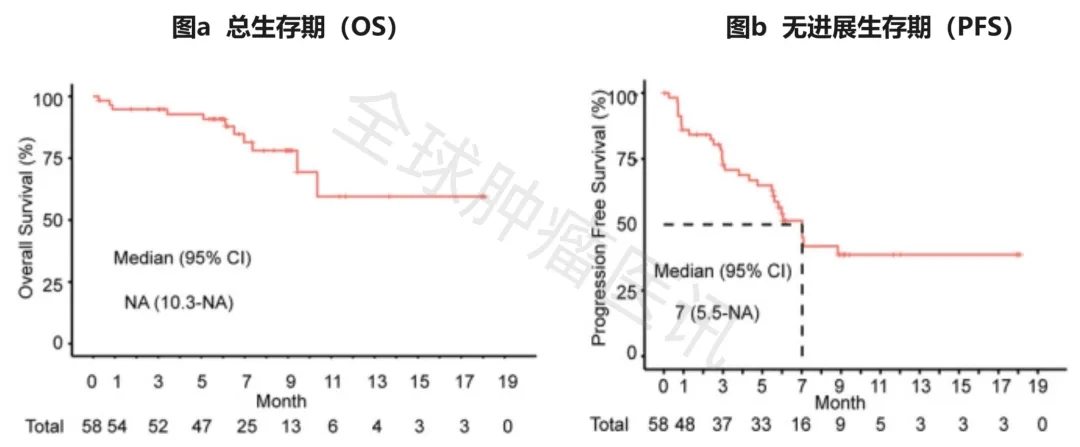 瑞基奥仑赛治疗数据