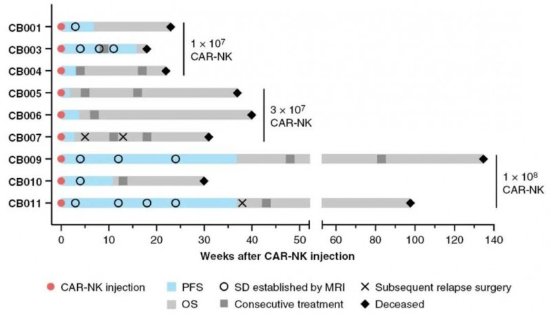 CAR-NK细胞治疗胶质母细胞瘤的数据