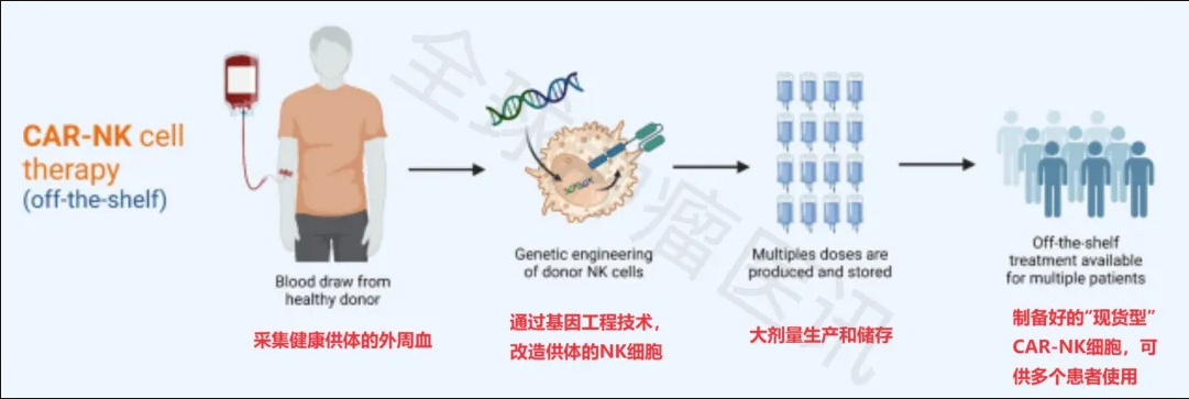 CAR-NK细胞的制备过程