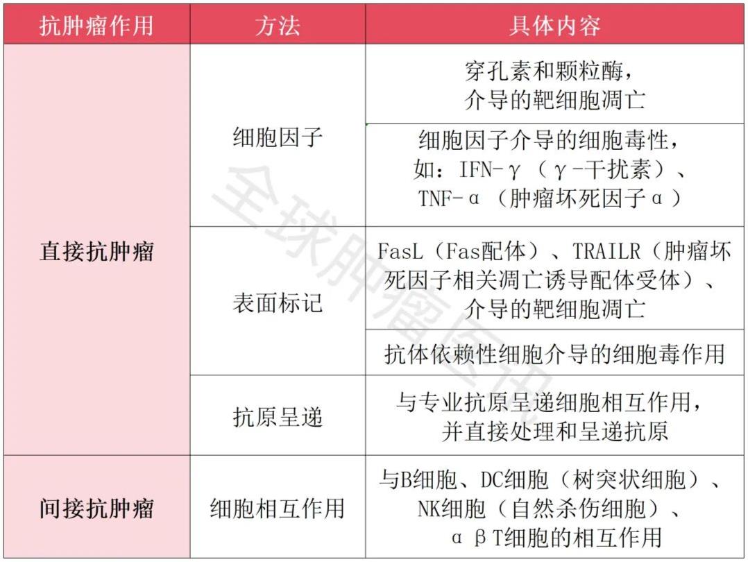 中位PFS提高1倍!免疫细胞新王牌-γδT细胞,助肺癌、结直肠癌、血癌患者&qu