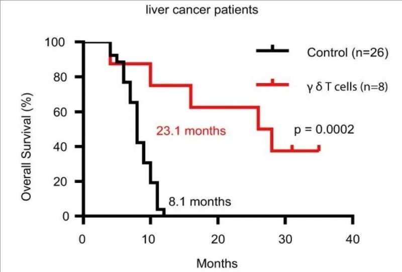 γδT细胞治疗肝癌的数据