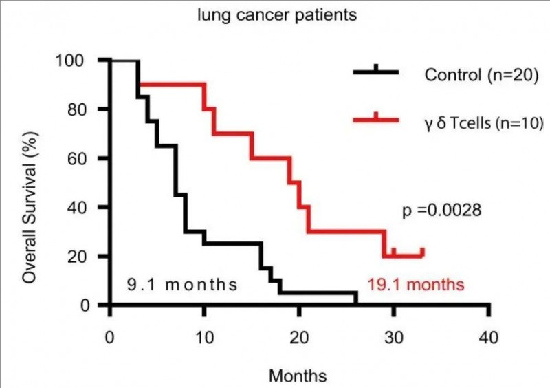 γδT细胞治疗肺癌的数据