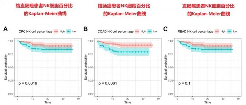 NK细胞疗法治疗结直肠癌的数据