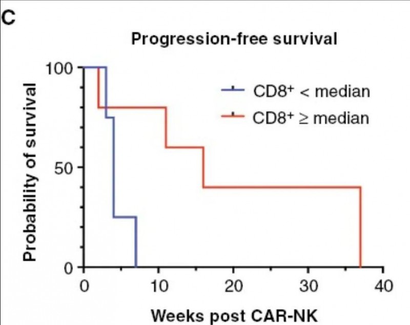CAR-NK细胞疗法治疗胶质母细胞瘤的数据