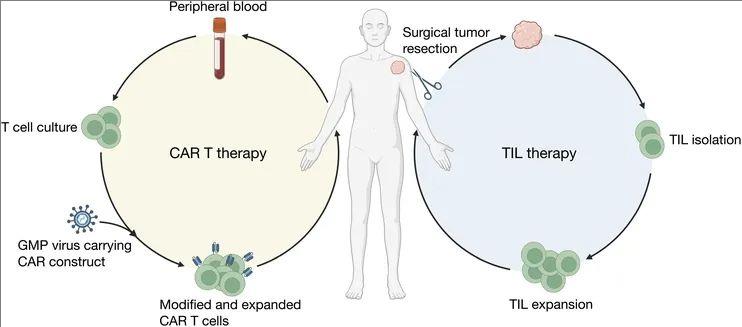 CAR-T和TIL疗法的主要抗癌原理及治疗过程对比