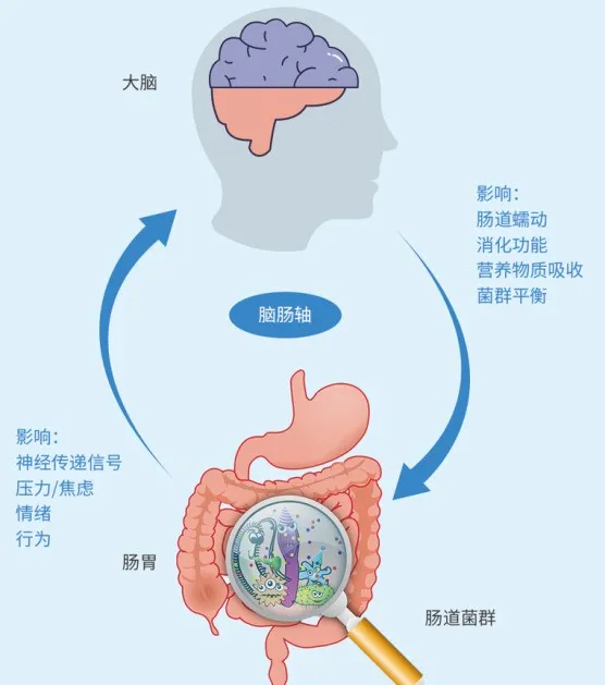 术后肠道菌群失调怎么办