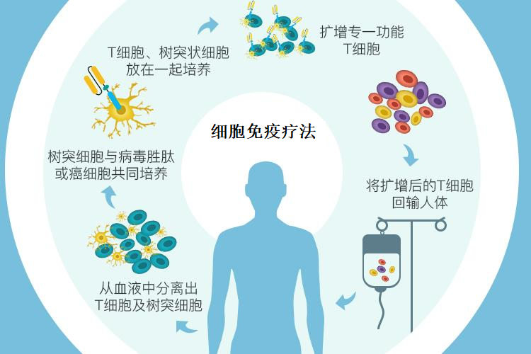 细胞免疫疗法治疗癌症