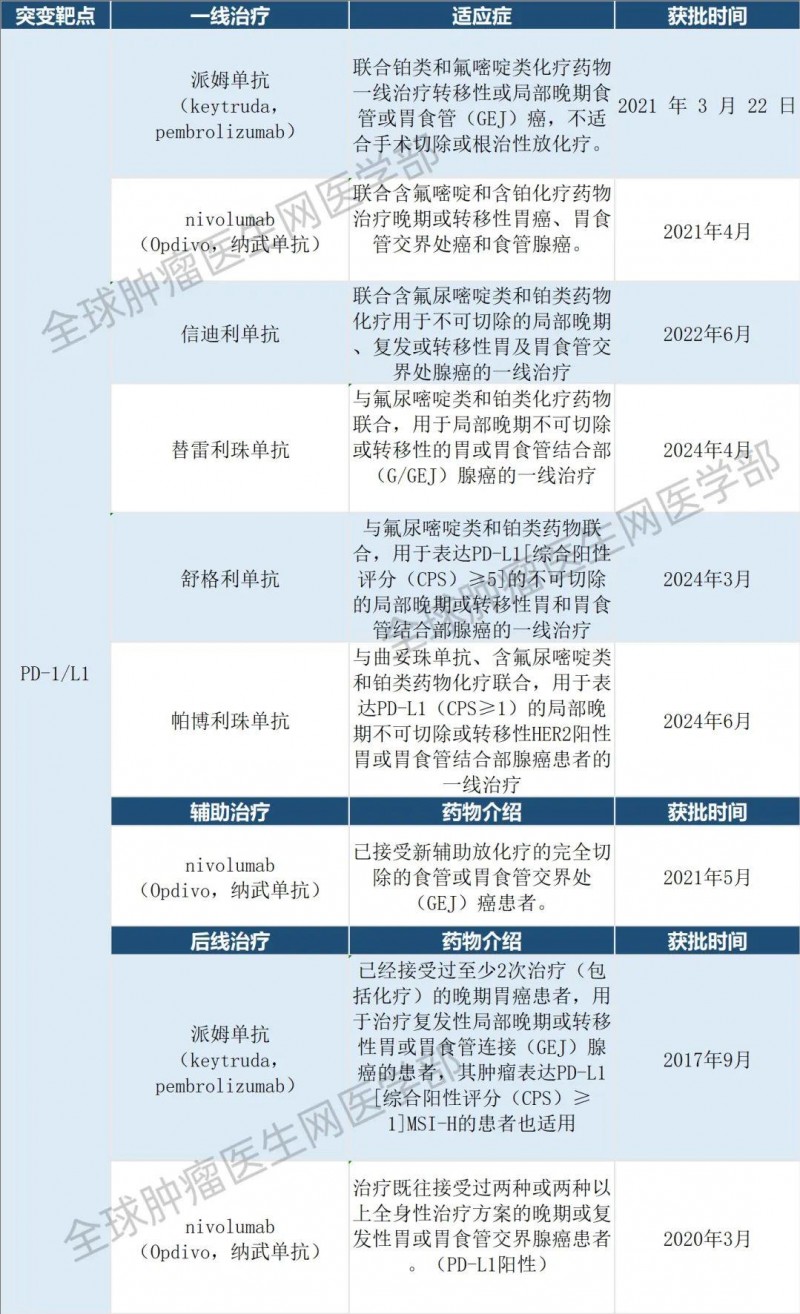 胃癌免疫治疗药物