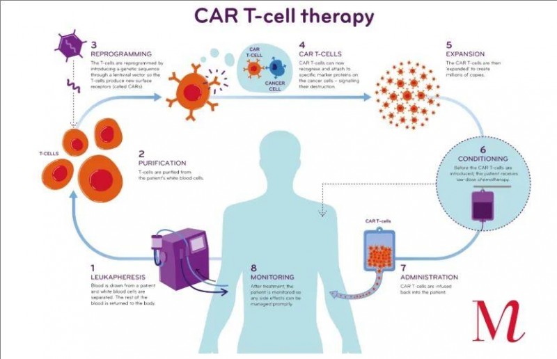 CAR-T细胞疗法