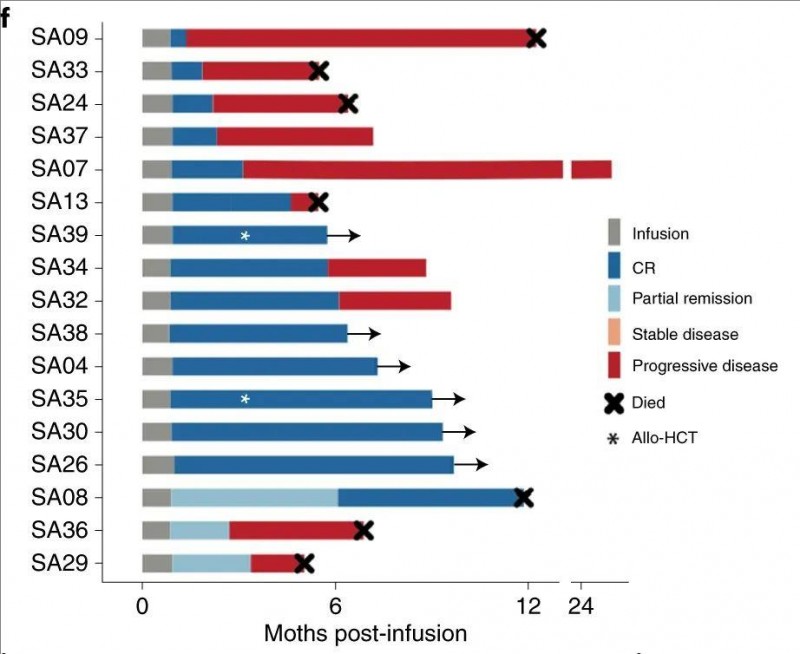 CAR-T细胞疗法治疗B细胞记性淋巴细胞白血病的数据