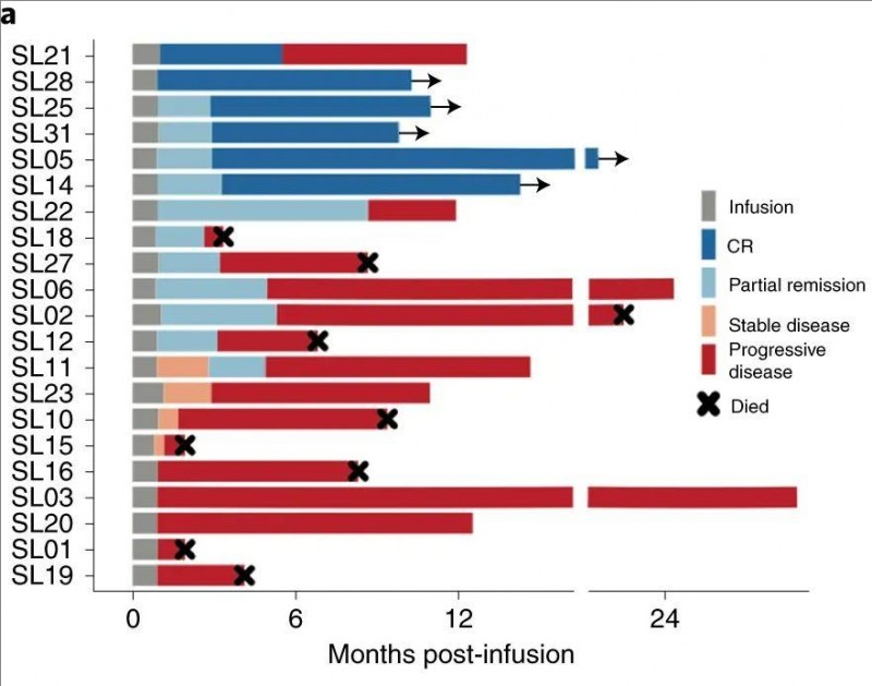 CAR-T细胞疗法治大B细胞淋巴瘤的数据