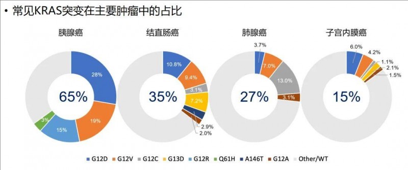 常见KRAS突变在主要肿瘤中的占比