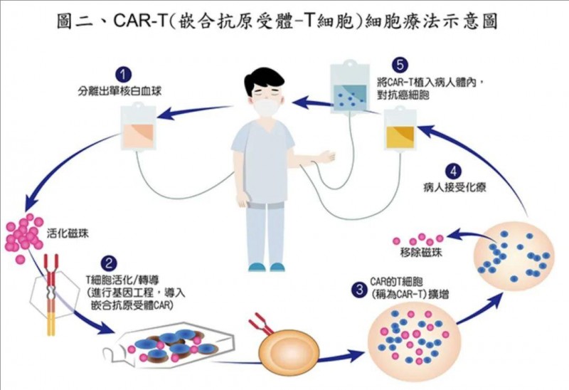 CAR-T细胞疗法示意图