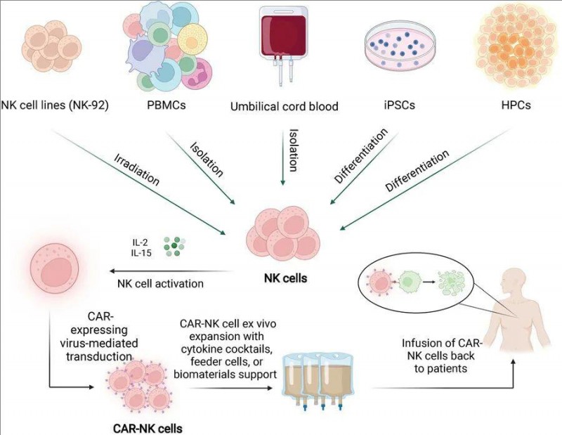 CAR-NK细胞来源和制造工作流程示意图