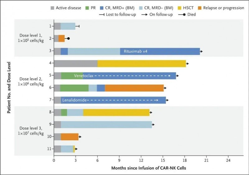 CD19 CAR-NK细胞疗法治疗淋巴瘤和白血病的数据