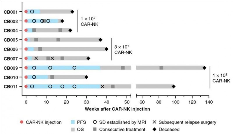CAR-NK细胞疗法治疗胶质母细胞瘤的数据