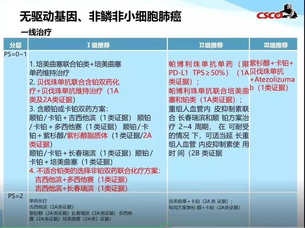 无驱动基因、非鳞非小细胞肺癌一线治疗