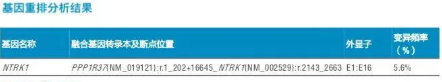 基因重排分析结果