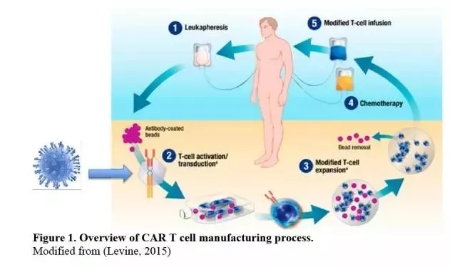 CAR-T的生产制备流程
