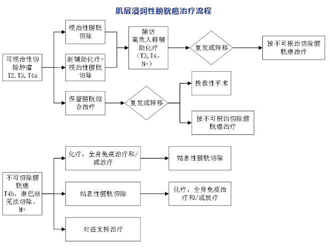 肌层浸润性膀胱癌治疗流程