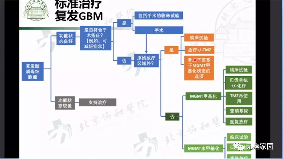 复发的胶质母细胞瘤标准治疗