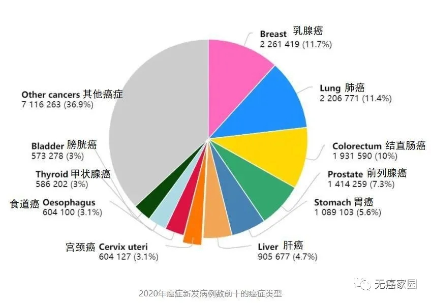 2020年癌症发病例数