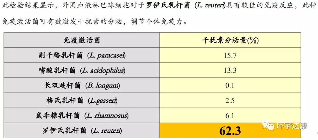 罗伊氏乳杆菌