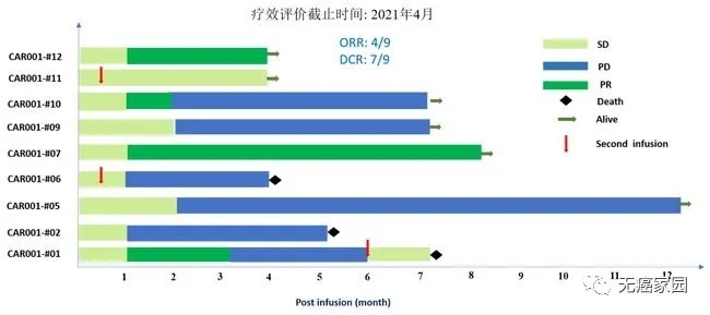 中国国产CAR-T细胞免疫疗法治疗数据