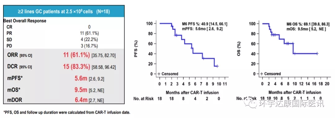 CAR-T治疗胃和胃食管交界癌的数据
