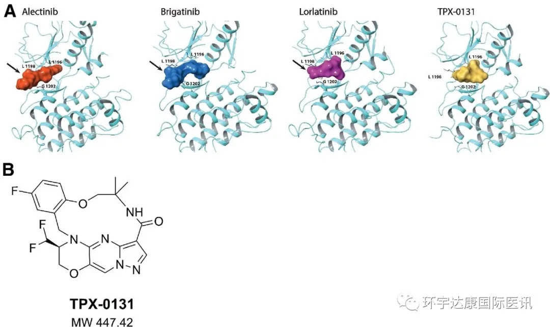 第四代强效ALK抑制剂TPX-0131分子结构