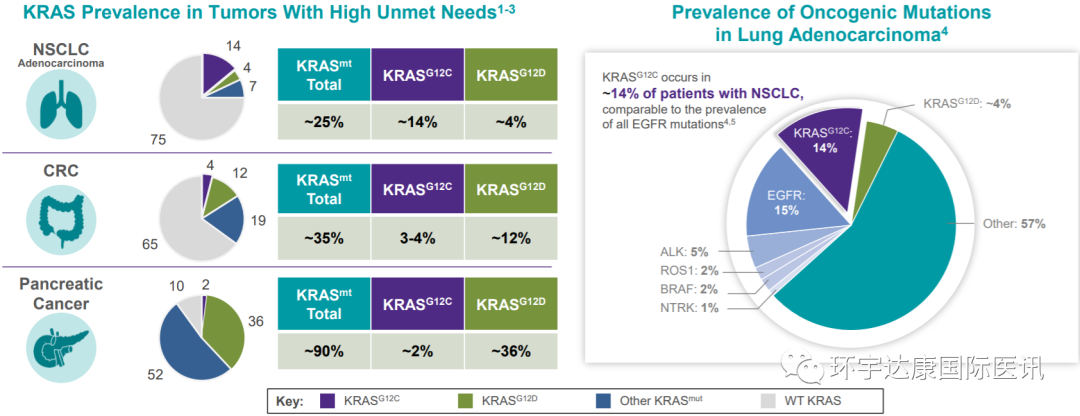KRAS基因突变类型及概率