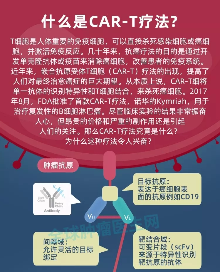 珍藏版|一图读懂2021最热门的抗癌技术-CAR-T