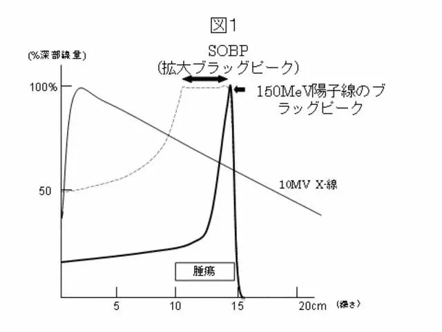 子线与X线的剂量分布比较