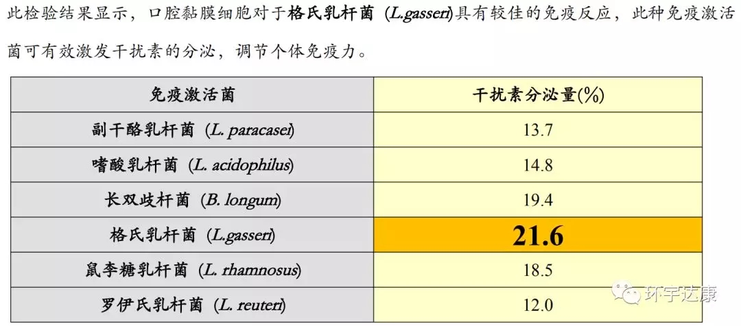 格氏乳杆菌 格氏乳杆菌