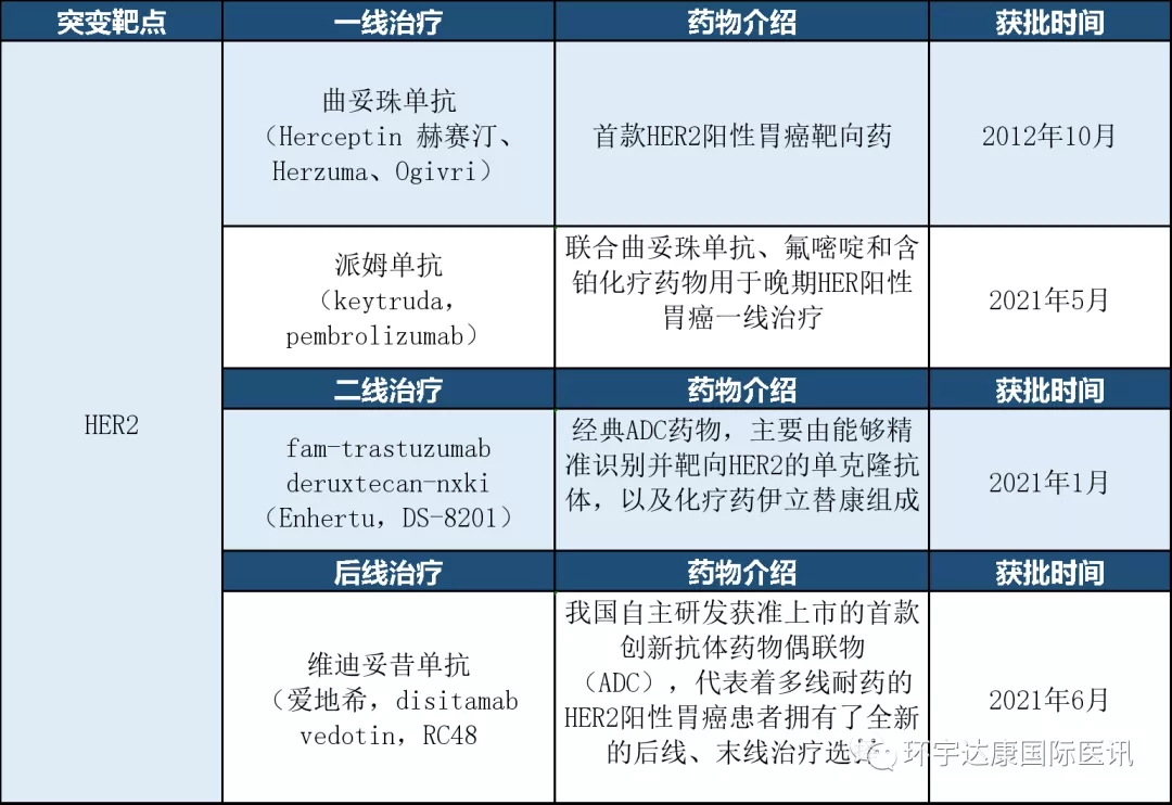 胃癌新药,获批上市的胃癌HER2阳性靶向治疗方案和胃癌HER2阳性靶向药物研发最